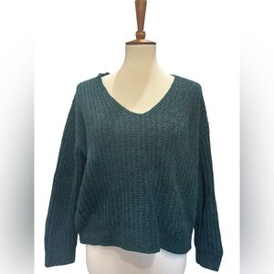 Express Green V-Neck Knit Sweater